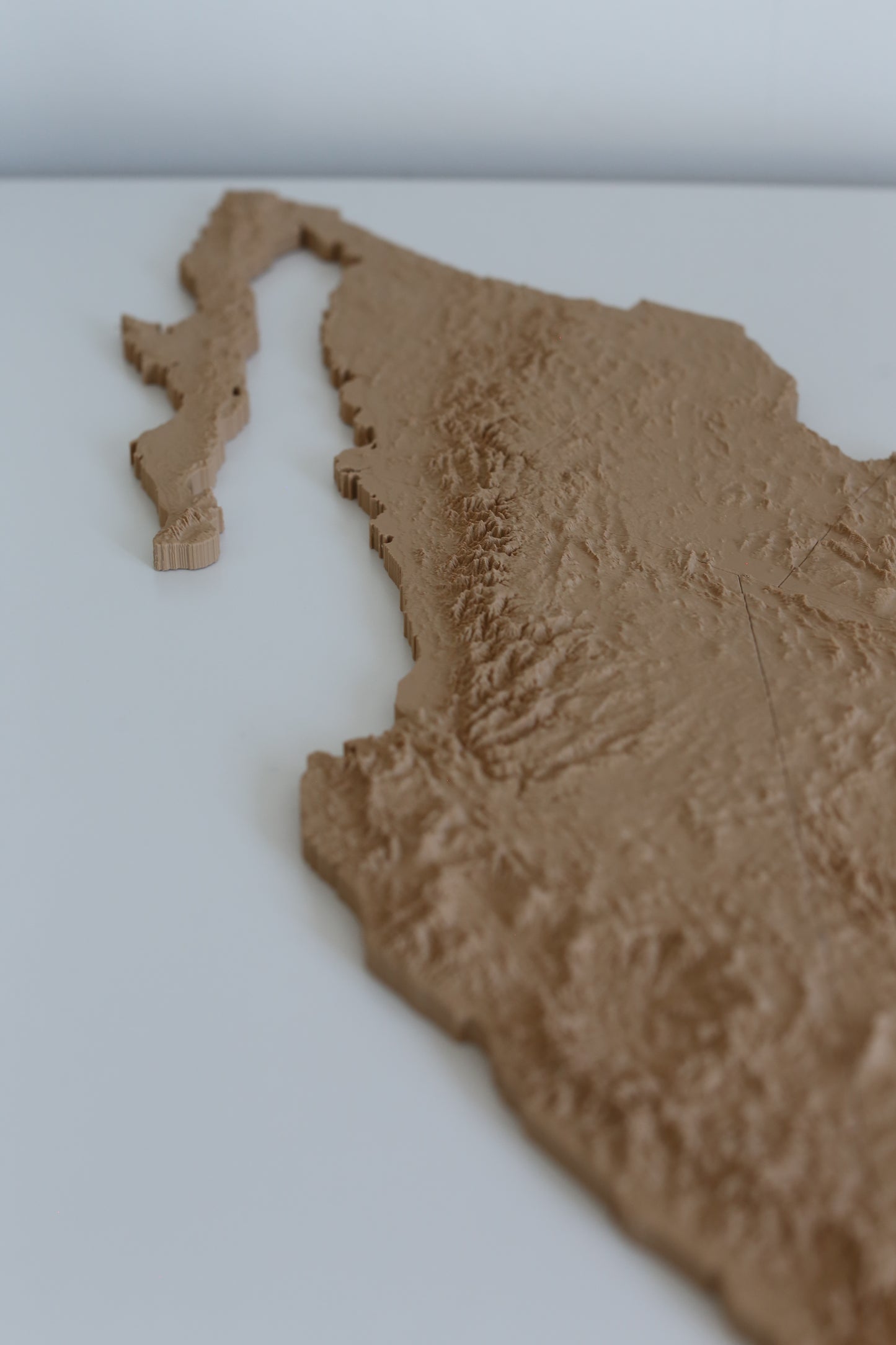 Mexico 3D Printed Topographic Map