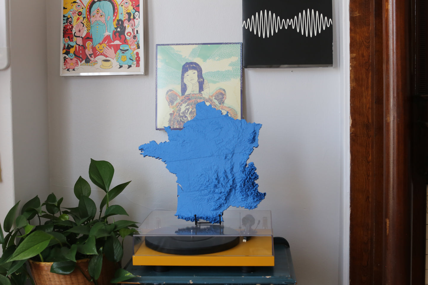 France 3D Printed Topographic Map