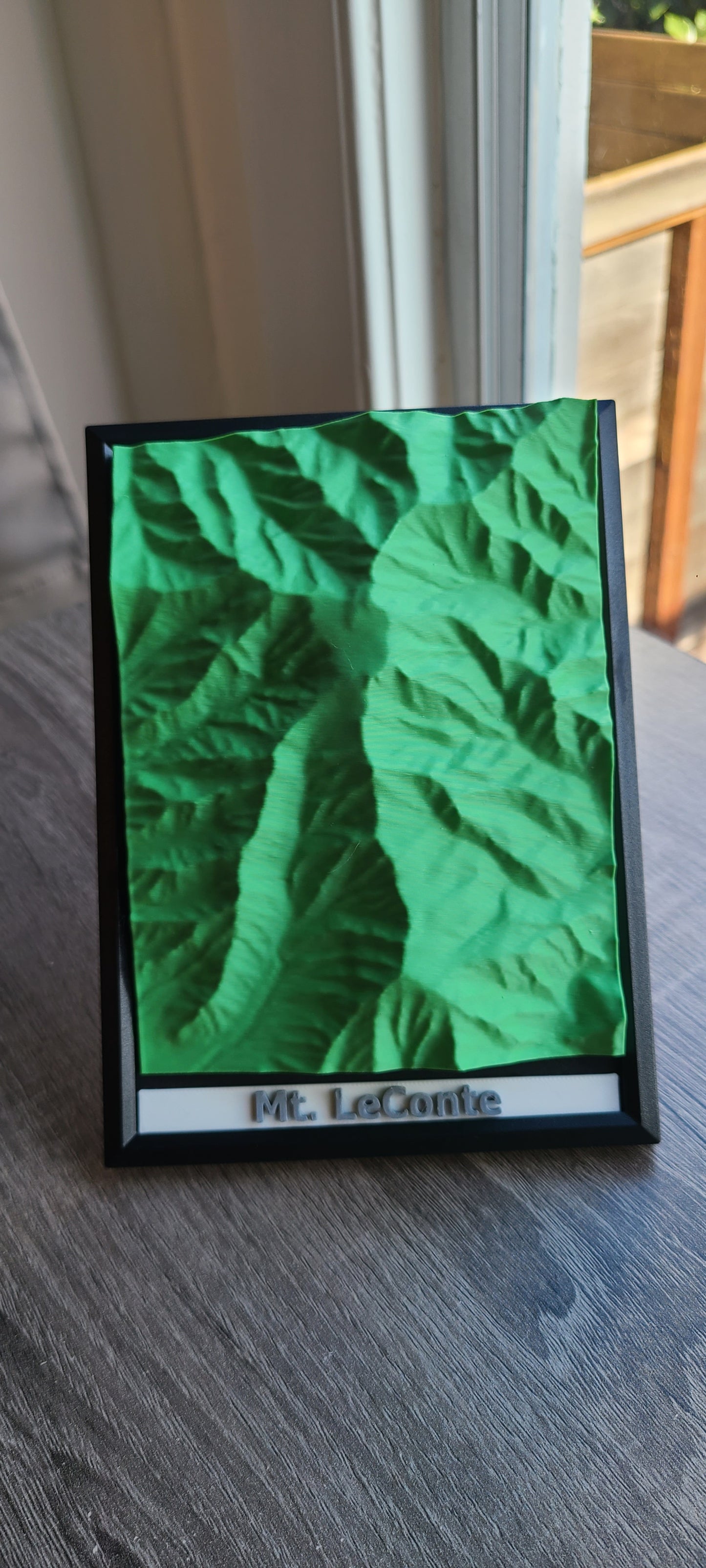 Mt. LeConte - 3D Printed Topographic Map