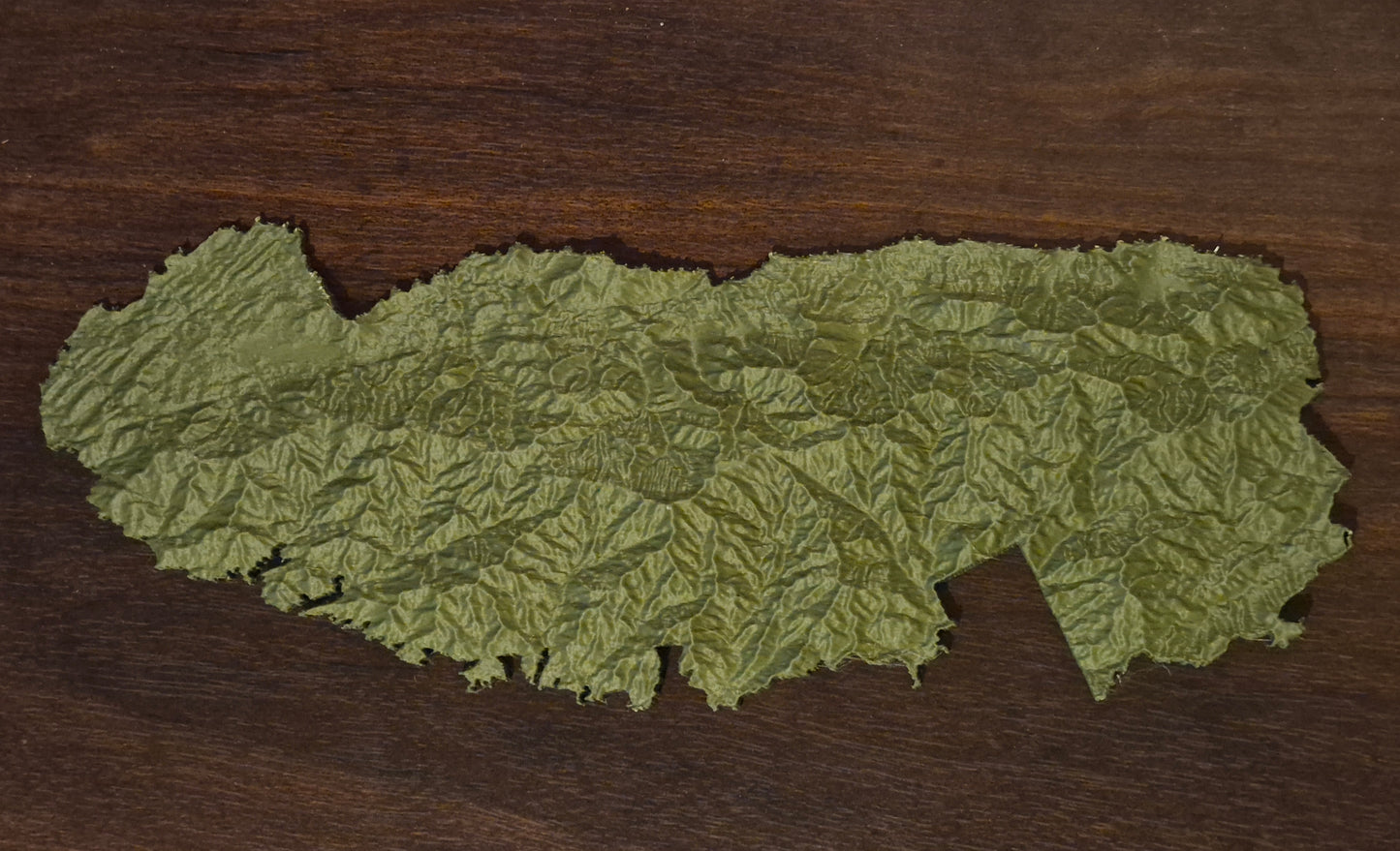 Great Smoky Mountains - 3D Printed Topographic Map