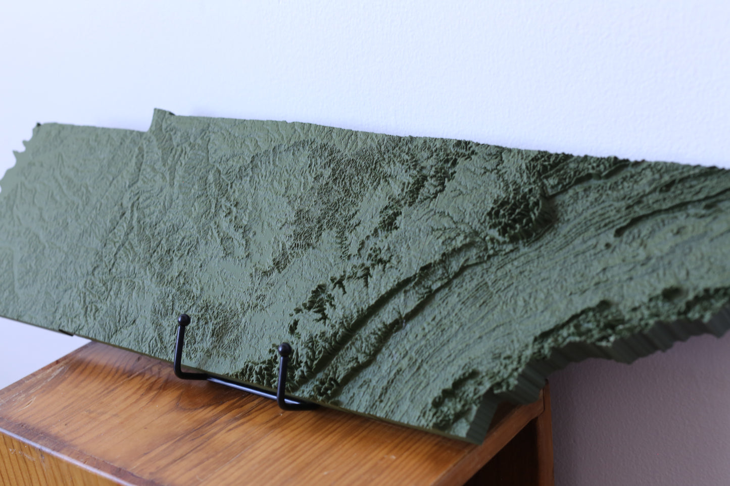 Tennessee 3D Printed Topographic Map