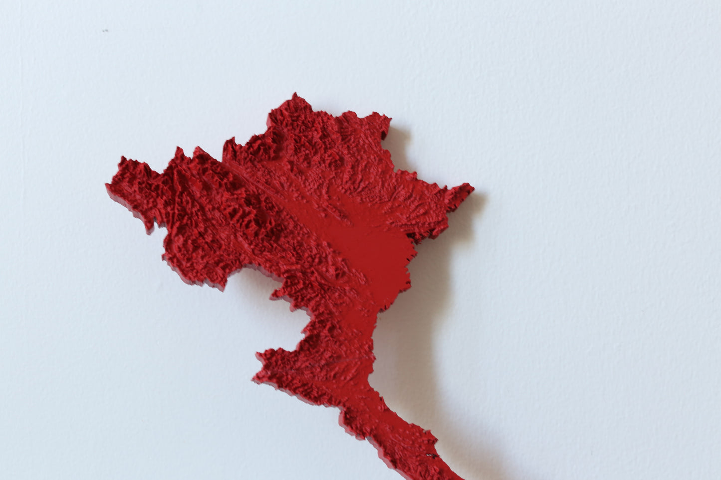 Vietnam 3D Printed Topographic Map
